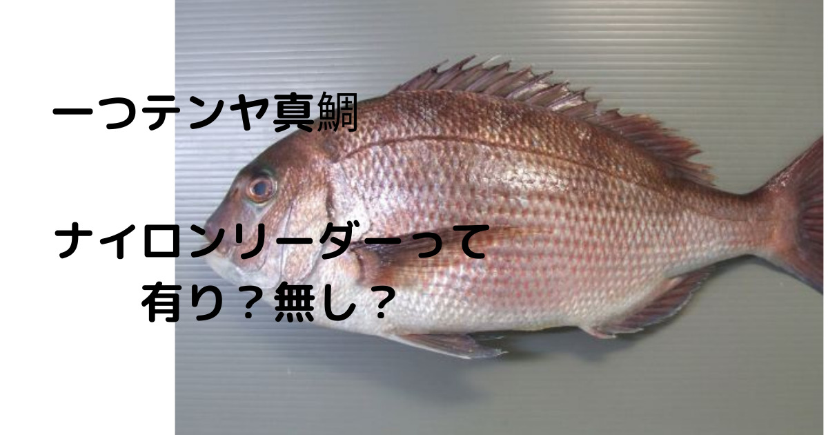 ひとつテンヤのリーダーにナイロンは あり なし リーダーにサンヨーナイロンのgtrウルトラ使ってみた 痛風兄さんのまい進日記
